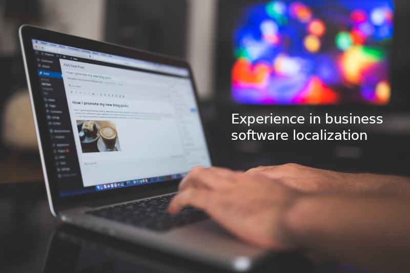 Experience in business software localization
