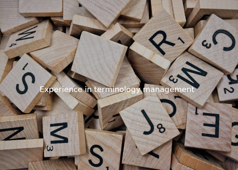 Experience in terminology management