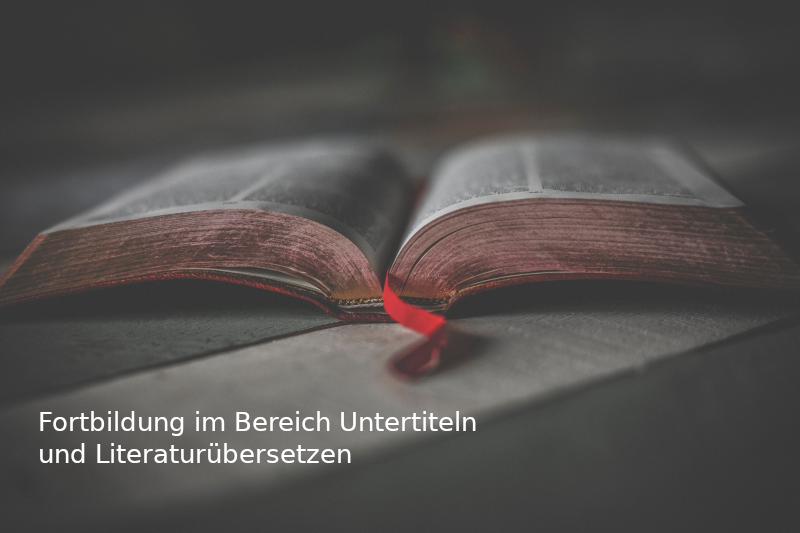 Fortbildung im Bereich Untertiteln und Literaturübersetzen