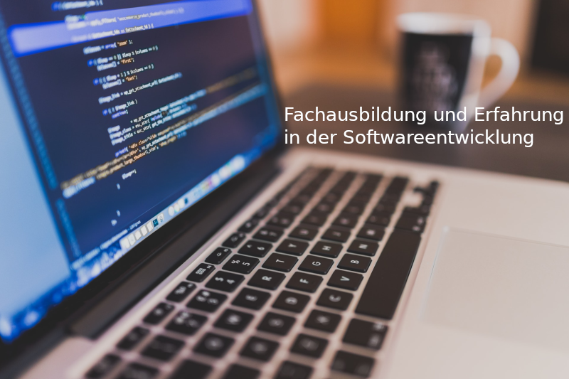 Fachausbildung und Erfahrung in der Softwareentwicklung