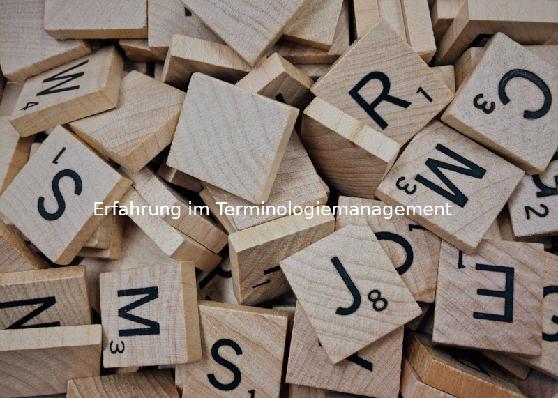 Erfahrung im Terminologiemanagement